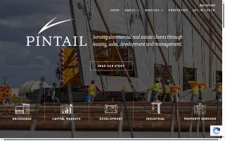 Pintail Power Washing website