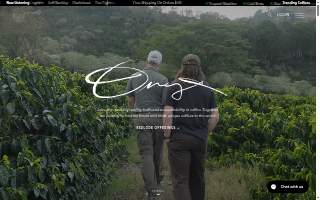 Onyx Management and Consulting, LLC website