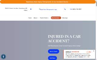 Back Pain Chiropractic website