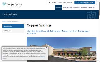 Copper Springs website