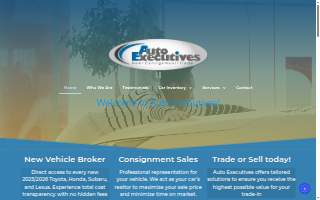Auto Executives website