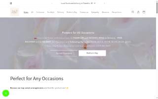 Mina Flower Florist website