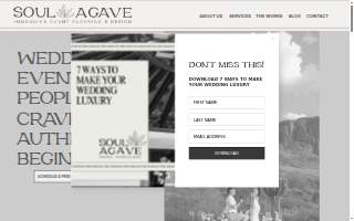 Soul Agave Proposal + Wedding Planner website