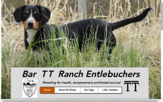 Bar TT Entlebuchers website