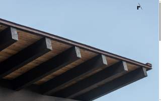 Reece Studio Architects website