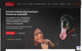 Fit Dog Training Phoenix website