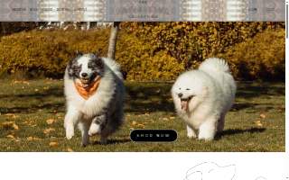 Pawsitive Connection Dog Training website
