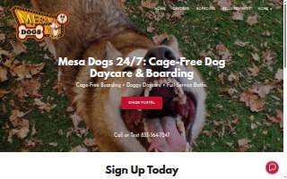 Mesa Dogs 24/7 website