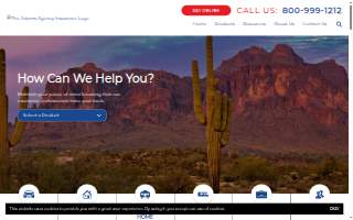 The Adams Agency website