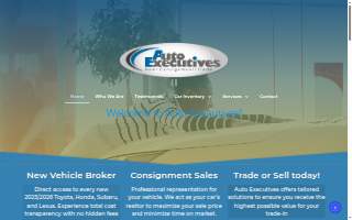 Auto Executives website