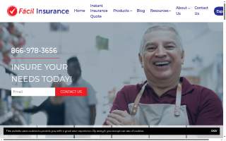 Facil Insurance & Income Tax website