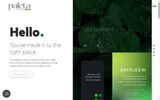 Paleta Web Studio website