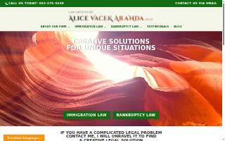 Law Offices of Alice Vacek Aranda, PLLC website