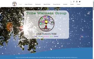 Tribe Wellness Group website