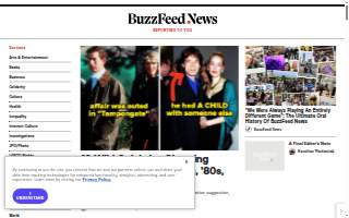 Buzz Pro Media website