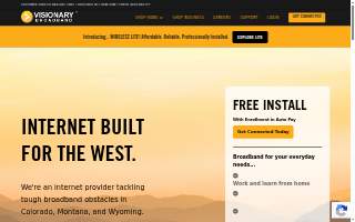 Visionary IT Services website