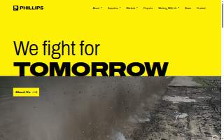 Phillips Law Group - Injury Lawyers website