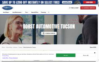 Borst Automotive website