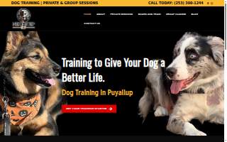 Mike's Mobile Autos Repair llc website