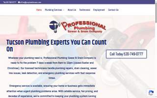 Professional Plumbing Sewer & Drain Co website