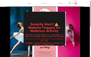 Dancers Choice website