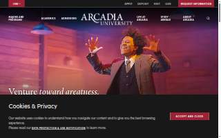 Arcadia Medical SPA website