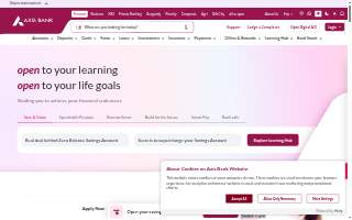 Axis Car Insurance website