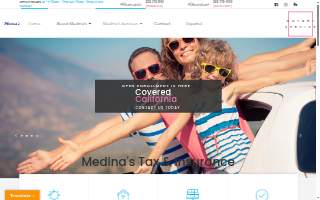 Medina's Tax & Insurance website