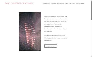 Danli Chiropractic & Wellness website