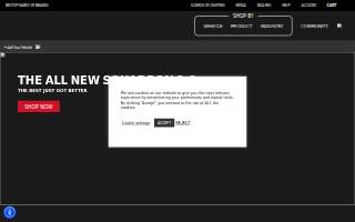 Baja Auto Sales website
