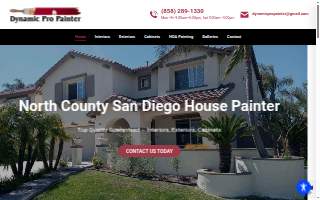 Dynamic Pro Painter website