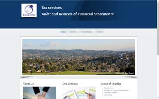 bryzek cpa website