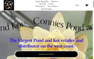Connie's Pond and Koi website