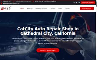CatCity Auto Body Inc website