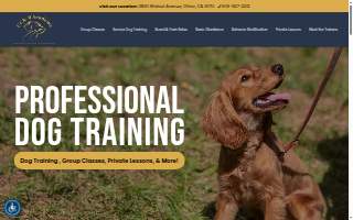 CCK-9 Academy website