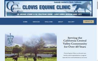 Clovis Equine Clinic website