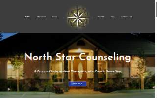 North Star Counseling website