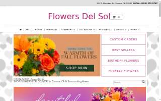 Flowers Del Sol website