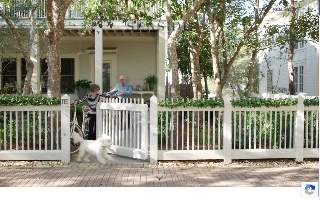 Seaside Pet Spa website