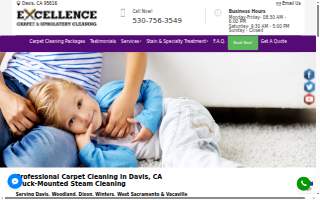 Excellence Carpet Cleaning website