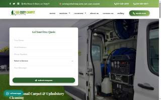 Go Cozy Carpet website