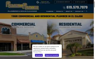 Remedy Rooter website