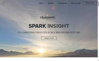 Eluminate Inc website
