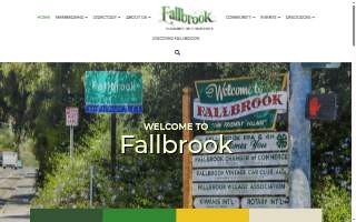Fallbrook Tire website