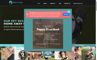 Splash Premier Pet Resort of Fountain Valley website