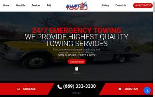 Professional Tax Services LLC website