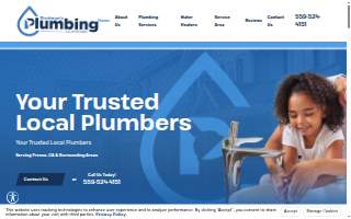 Stedman’s Plumbing website