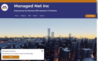 Managed Net Inc website