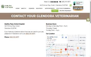 Healthy Paws Animal Hospital website