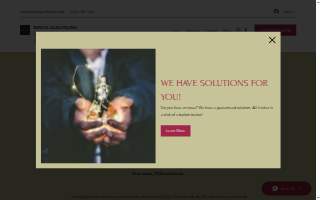 Kings Solutions website